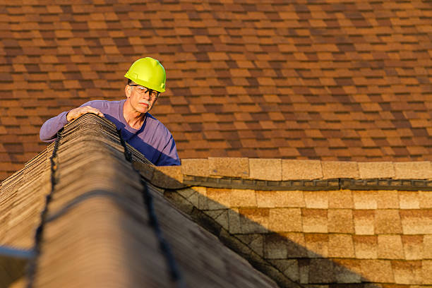 Best Roof Repair Services  in Tipton, IN